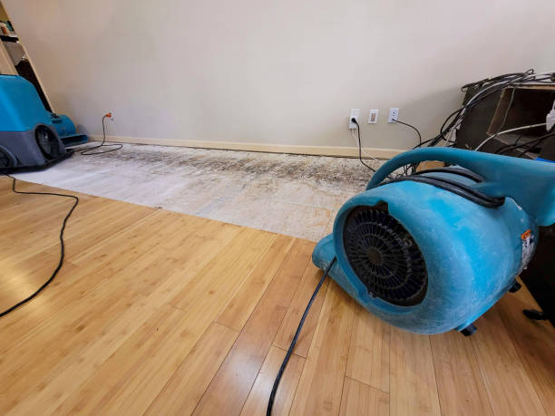 Professional Basement Flood Cleanup technician working in Joffre, PA